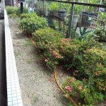 IMG_20130618_104221