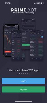 Understanding Reset PrimeXBT A Guide for Traders