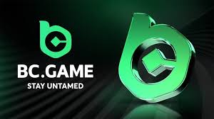 Comprehensive Support Guide for BC Game 1464474750